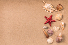 Starfish And Beautiful Shells On The Sand, Background For Travel Advertising, Lettering, Text, Banner