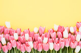 Fototapeta Tulipany - Pink tulips on a yellow background. Mothers Day, Valentines Day, birthday celebration concept