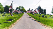 Road With American Flags On The Sides On A Grave Yard