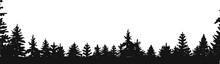 Silhouettes Of Spruce Vector. Firtrees Vector Sketch. Silhouette Coniferous Forest Belt Vector. Tree Line Vector Sketch. Vector Illustration. Hand Drawing. Eps