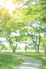 blur nature green park with sun light abstract background.