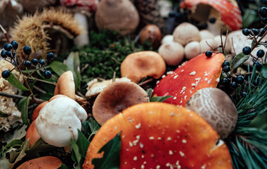 Canvas Print - Closeup shot of wild mushrooms