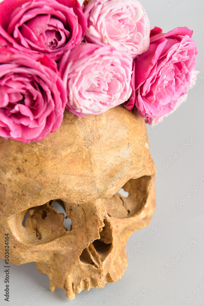 Human skull with flowers on grey background, closeup