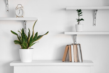 Houseplant and books on mantelpiece near white wall