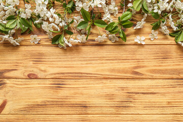  Blooming spring branches on wooden background