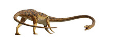 Tanystropheus, Extinct Reptile From The Middle To Late Triassic Period, Isolated On White Background Banner