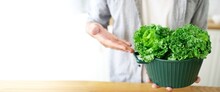 Close-up Of A Young Man Holding A Bowl Of Lettuce Appetizing.Fresh Vitamin Green Curly Cabbage Or Kale Salad Leaves Cut In The Bowl On Light Background On The Table In The Kitchen.Banner Cover Design.