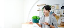 Asian Handsome Thai Young Man Holds Bowl Of Freshly Lettuce Appetizing.Fresh Vitamin Green Curly Cabbage Or Kale Salad Leaves On Light Background On The Table In The Kitchen.Banner Cover Design.