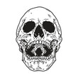 Skull Laughing, Vector Illustration