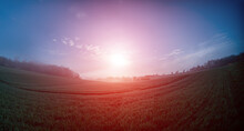 Panorama Of A Green Spring Field In The Early Morning With The Rising Sun