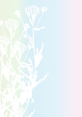 Poster - Isolated vector realistic flower, herb, plant or twig on pastel colored iridescent background. Minimalist poster   with delicate silhouettes of organic shapes. Modern abstract botanical artwork.