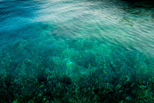 Closeup Shot Of The Beautiful Clear And Clean Sea With Coral Reef Shown Under The Water