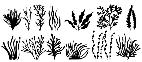 Wall Mural - set of algae silhouette, on white background, isolated, vector