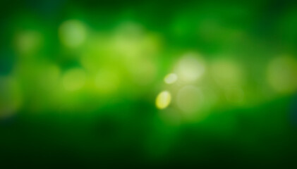 Wall Mural - a spring background of fresh lush green foliage with blurred bokeh.
