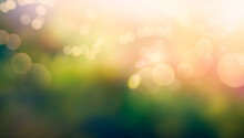 A Summer Sunset, Sunrise Background With Lush Green Foliage And Orange Glow Sky With Blurred Spring Bokeh Highlights.