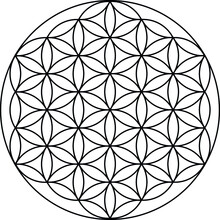 Flower Of Life Black Outline, Life Coach, Gold Pattern On White Background.