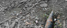 Unexploded Ordnance On The Ground Next To Spring Flowers