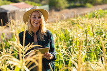 Portrait Of Smiling Cacuasian Mid Adult Woman Wearing Hat With Digital Tablet Standing In Farm