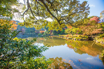  東京都　旧古河庭園の紅葉