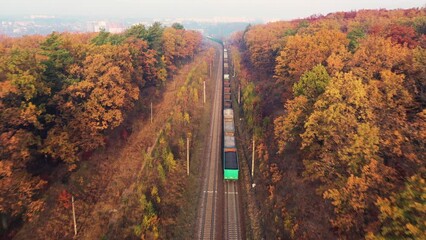 Wall Mural - Freight train in beautiful forest in fog at sunrise in autumn