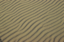 Sand Dunes Background