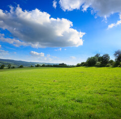 Wall Mural - Spring field and blue sky with big clouds and sunlight.