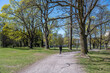 © rolf_52 - Sunny spring day in early May 2022 in city park Folkparken in Norrkoping. Norrkoping is a historic industrial town in Sweden.
