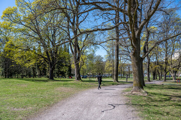 Sunny spring day in early May 2022 in city park Folkparken in Norrkoping. Norrkoping is a historic industrial town in Sweden.