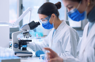 Researcher working in the laboratory