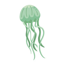 Green Jellyfish Sealife