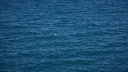 Wall Mural - aerial view 4k stock video footage of beautiful dark peaceful blue sea water with splashing with whi