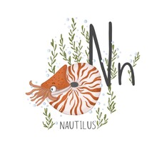 Alphabet Red And White Nautilus Mollusk Under Water Next To The Letter N