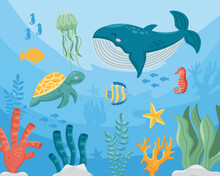 Animals Sealife Underwater
