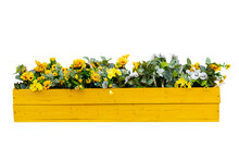 Long Outdoor Decorative Wooden Summer Pot With Yellow Flowers. Isolated.