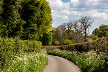 A Country Road In Sussex On A Sunny Spring Day