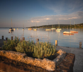 Wall Mural - Sailboats in the port at lake Balaton, Hungary in summer