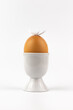egg in egg cup vertical