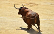toro español con grandes cuernos en un espectaculo tradicional en una plaza de toros