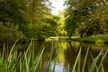 A Pond Surrounded By Trees And Vegetation.