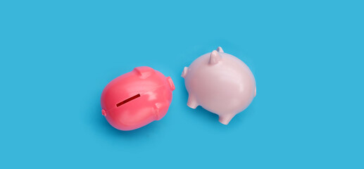 Pink piggy bank on blue background.