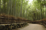 Fototapeta Dziecięca - the bamboo garden @Arashiyama KYOTO / 京都 嵯峨野 嵐山の竹林