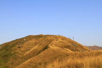 Wall Mural - a Beautiful Mountains In Kai Kung Leng, hong kong