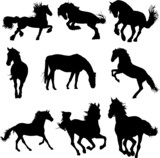 Fototapeta Konie - horse silhouettes collection