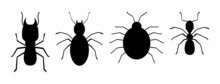 Insect Icon Collection
