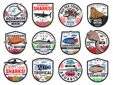 Tropical Sea Fishes And Ocean Animals Icons. Oceanarium Aquarium, Fishing Club And Sharks Danger Warning, Travel Tours, Nature Museum Emblem Or Badge. Turtle, Moray Eel And Lionfish, Walrus Vector