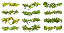 Cartoon Jungle Tropical Liana Branch Vines, Isolated Vector Amazon Rainforest Thicket. Tropic Forest Plants, Climbing And Hanging Roots, Leaves, Green Tree Foliage Spinney, Floral Borders With Lianas