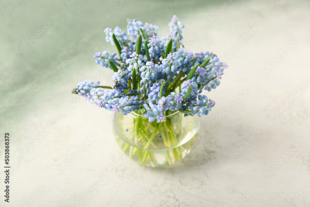 Vase with beautiful Muscari flowers on light color background