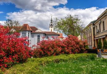 Wall Mural - Beautiful urban spring landscape, church in the old city center of Sombor in Serbia