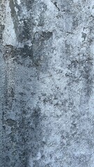 Wall Mural - texture