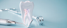Anatomy Of A Molar Tooth - 3D Rendering